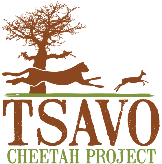 Tsavo Cheetah Project